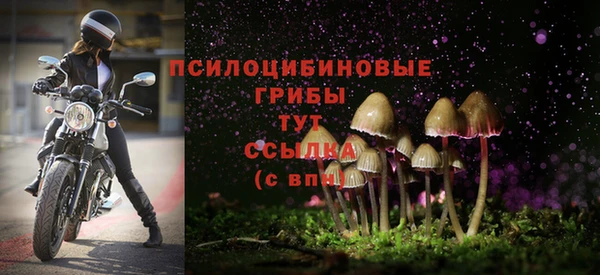 каннабис Алзамай
