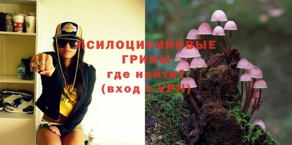 крисы Абдулино