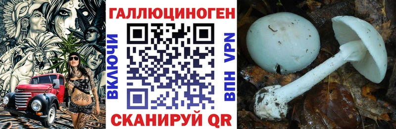 Галлюциногенные грибы мухоморы  MEGA ССЫЛКА  Кострома 