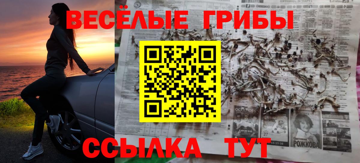 Галлюциногенные грибы Cubensis Кострома