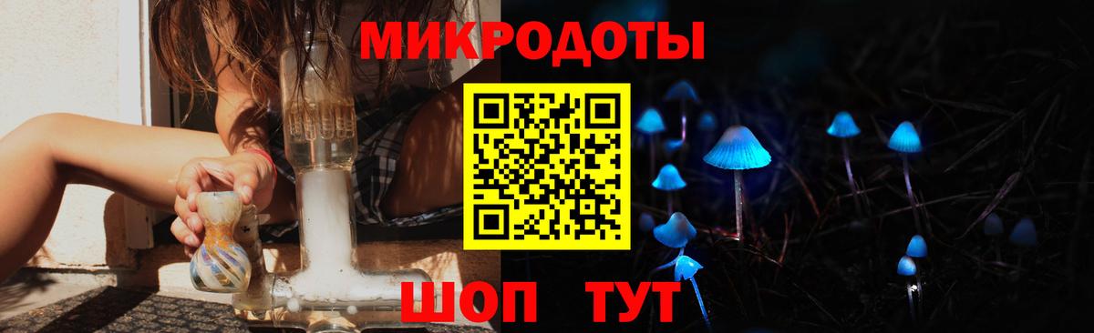 Кострома  Галлюциногенные грибы Psilocybe  Вход с VPN  Галлюциногенные грибы GOLDEN TEACHER 